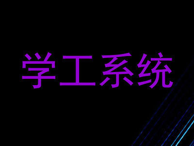 学工系统