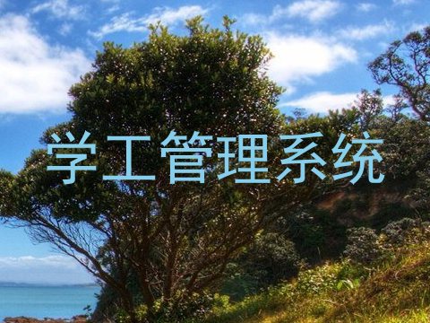 学工管理系统