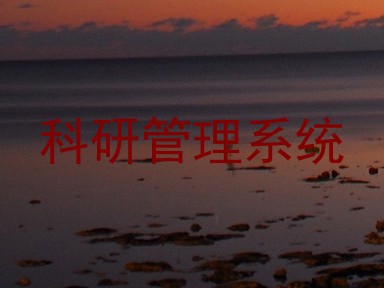 科研管理系统