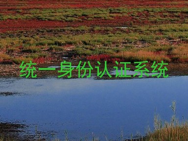 统一身份认证系统