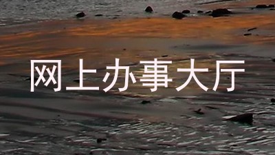 网上办事大厅