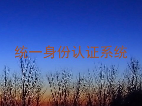 统一身份认证系统
