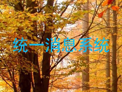 统一消息系统