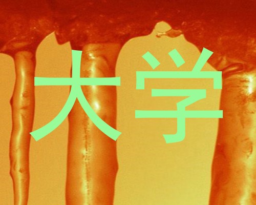 大学