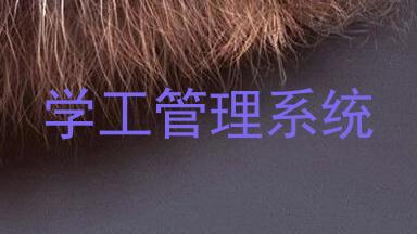 学工管理系统