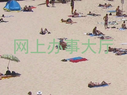 网上办事大厅