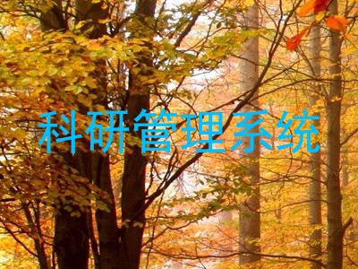 科研管理系统