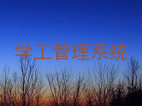 学工管理系统