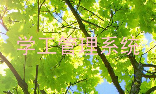 学工管理系统