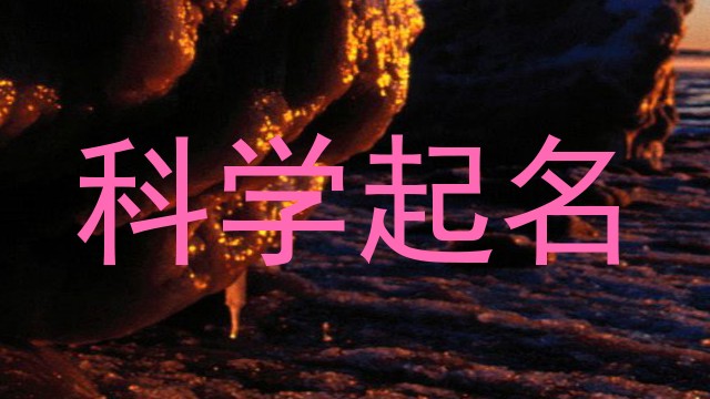 科学起名