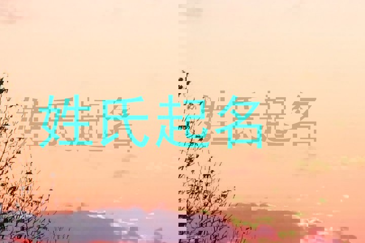 卢姓宝宝起名
