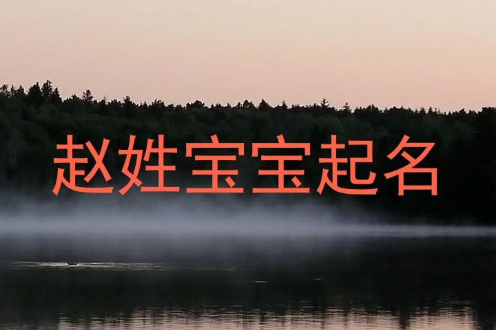 赵姓宝宝起名