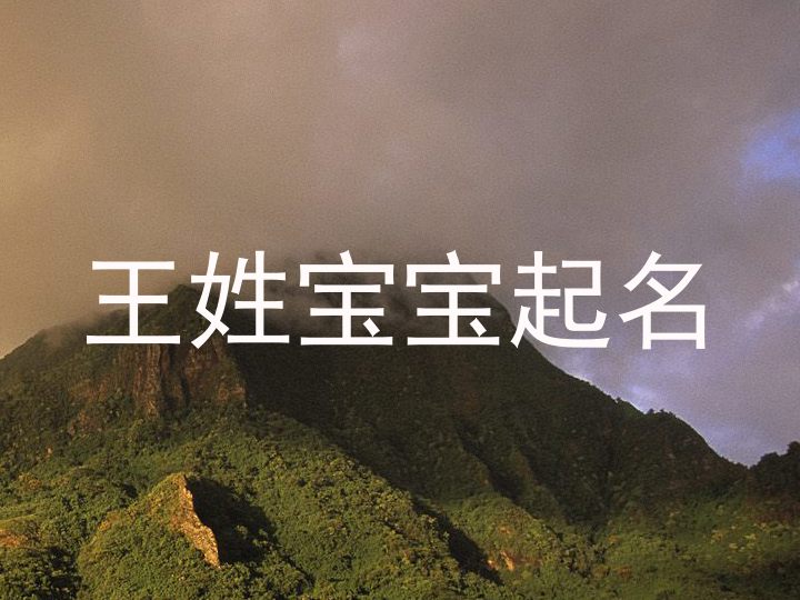 王姓宝宝起名