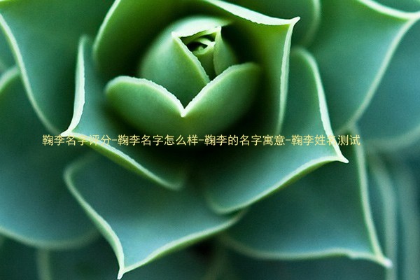鞠李名字评分-鞠李名字怎么样-鞠李的名字寓意-鞠李姓名测试