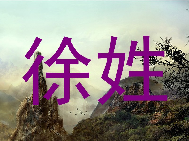 徐姓