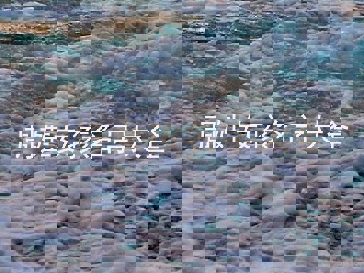 周姓女孩名字大全