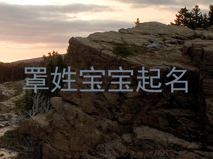 罩姓宝宝起名