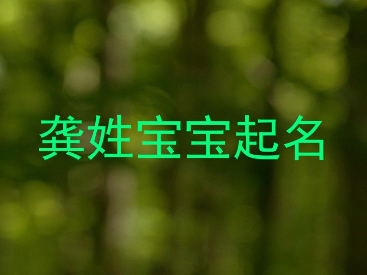 龚姓宝宝起名