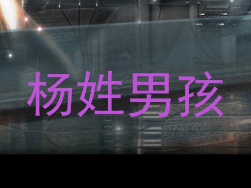 杨姓男孩