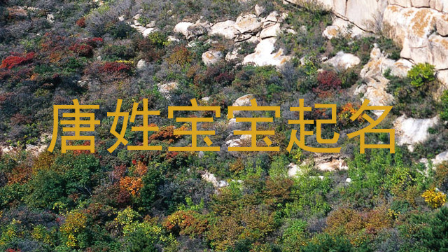 唐姓宝宝起名