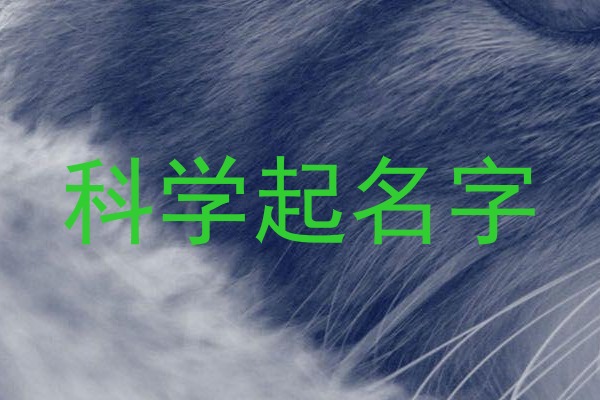 科学起名字