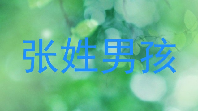 张姓男孩