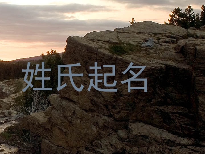 姓氏起名