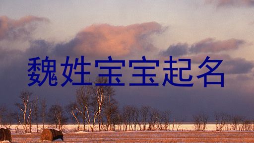 魏姓宝宝起名