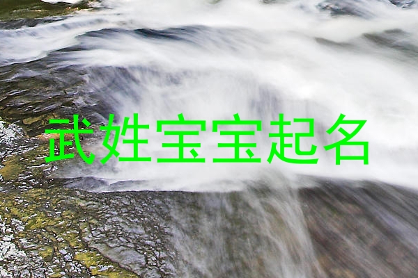 武姓宝宝起名