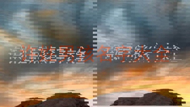 许姓男孩名字大全