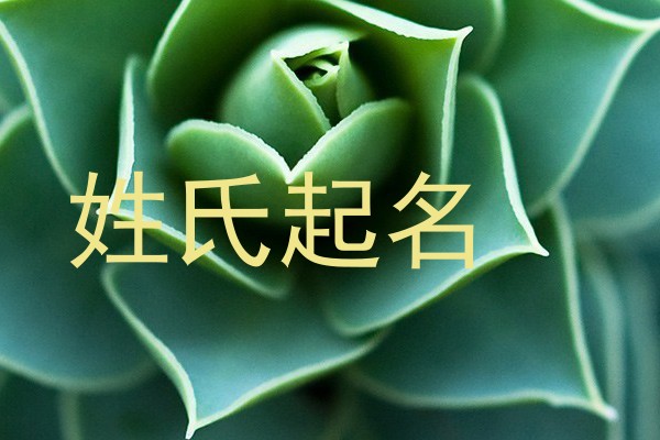 姓氏起名