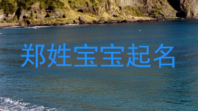 郑姓宝宝起名
