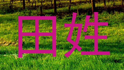 田姓