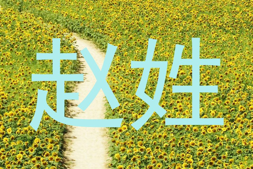 赵姓