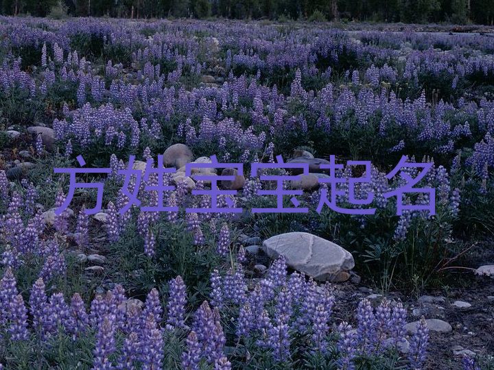 方姓宝宝起名
