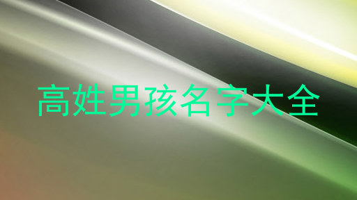 高姓男孩名字大全