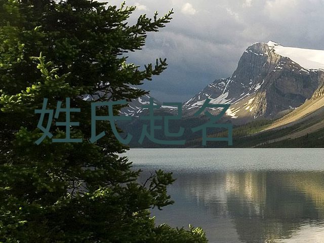 杜姓宝宝起名