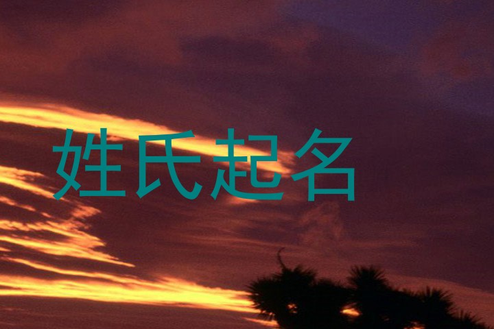 刘姓宝宝起名