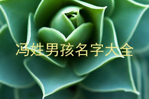 冯姓男孩名字大全