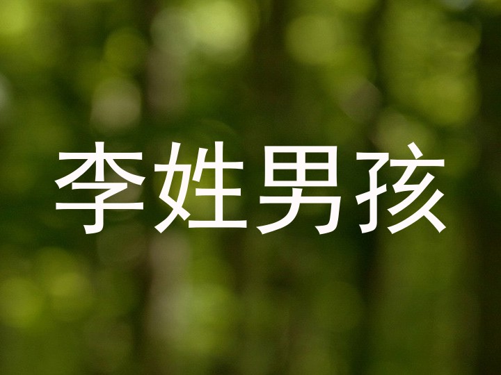 李姓男孩