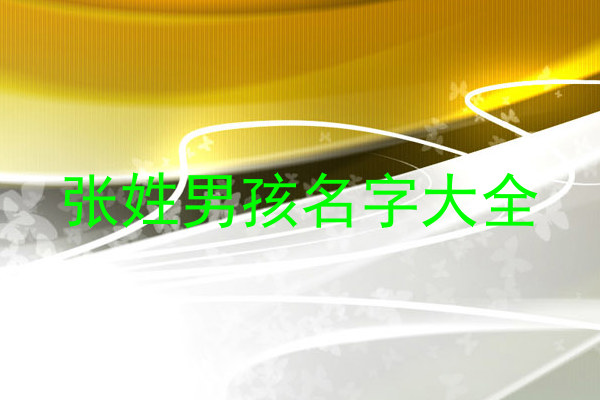 张姓男孩名字大全