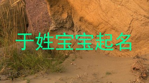 于姓宝宝起名