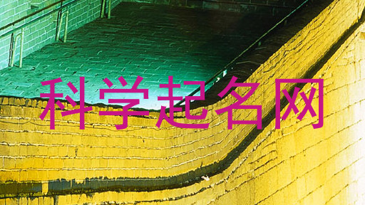 科学起名网