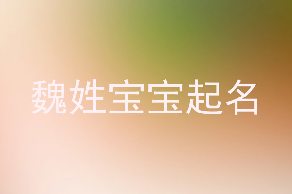 魏姓宝宝起名