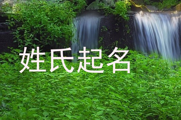 姓氏起名