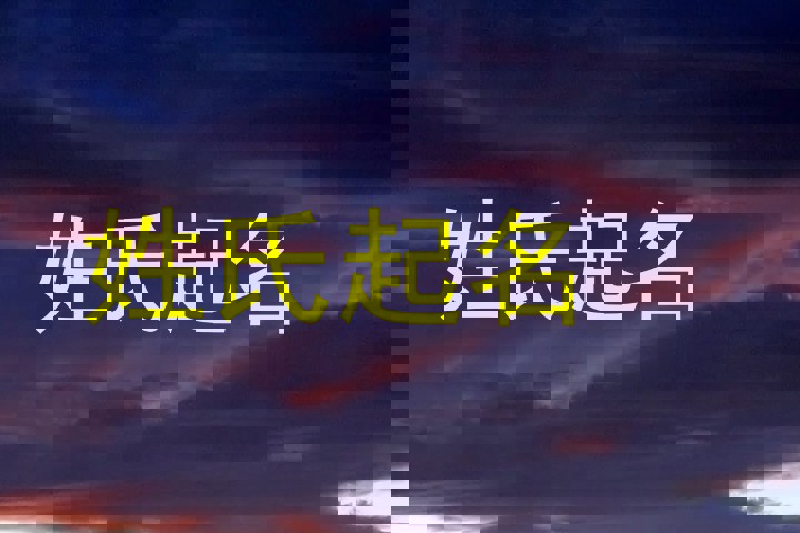 张姓男孩名字大全