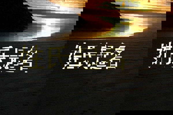 戴姓宝宝起名
