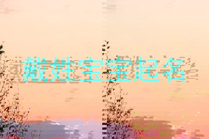 戴姓宝宝起名