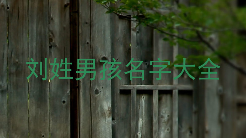刘姓男孩名字大全
