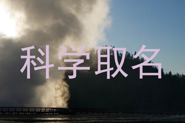 科学取名